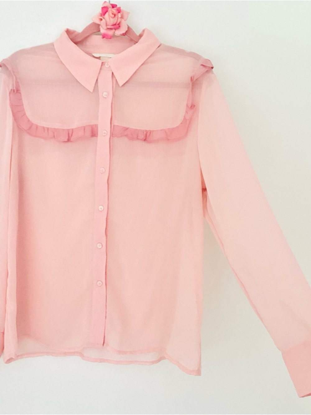 💕Pretty Pink Sheer Long Sleeves Blouse Top SZ M/L (10)